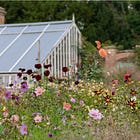 How to choose the right plants for your border, and my secret trick in planting design