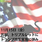 11月15日（金）共和、トリプルレッドに トランプ政策実現に弾み