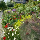 Gardener: Leslie Harris