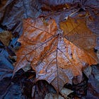 Photopoems