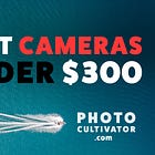 Best Cameras Under $300 for Casual Photography