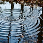 The Ripple Effect of Servant Leadership on Organisational Performance