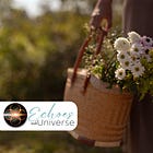 Introducing "Echoes of Our Universe": Finding Wisdom in the Reflections of Life