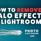 Tackling the Halo Effect: An Essential Guide to Mastering Lightroom Classic