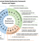 Kunming-Montreal Global Biodiversity Framework - 2030 Targets