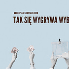 Tak się wygrywa wybory w Gruzji [KULISY]