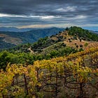 The Priorat Rebirth Story: From Abandoned to Acclaimed