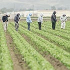 Fields Empty, Hotels Struggle: Trump’s Deportation Agenda Backfires on U.S. Economy