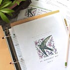 Liturgical Year Binder: Begin