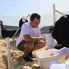 Sea Turtle Eggs Got A Helping Hand Before Hurricane Beryl Hit Cancún