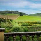 Chianti vs. Chianti Classico: Sangiovese Vineyard Secrets