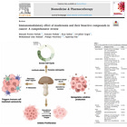 The Remarkable Anti-Cancer Potential of Mushrooms