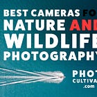 Best Affordable Cameras for Nature and Wildlife Photography