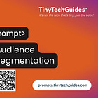 Prompt Workflow: Audience Segmentation