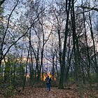 Week 46 (2023)
