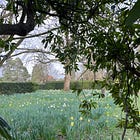 Finding my way in ‘winterspring’.