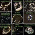 The Usual Suspects: A Field Guide to Common Nanos under the Microscope