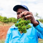 Kenya: The daunting reality of ‘clean fuel’