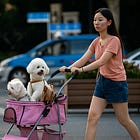 The Rise of China’s Pet Industry: Market Trends, Top Companies, and Investment Insights