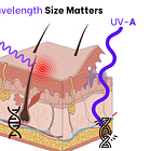 How to fight skin cancer with UV light