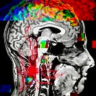 🧬 The Neural Link