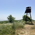 At the Edge of the Golan (Part 2)