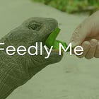 How To Manage The Articles You Read