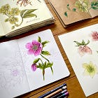 Tutorial: Step-By-Step Hellebore Drawing with brush pens