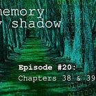 The Memory of My Shadow #20