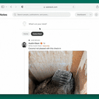 Substack App: What is the difference between Notes and Chat?