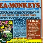 Sea Monkeys Were Not As Advertised