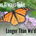 Transitions Always Take Longer Than We'd Like