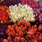 Spiritual Routines for Spring