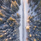 A Hymn for the Grieving During the Holidays 