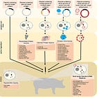 Genetic Vaccines in Animals/Food Supply, Part 1 - Merck Sequivity