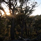 Thoughts from a five-day digital detox