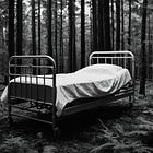 Bed 13