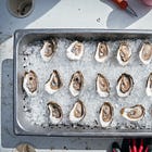 The Oyster in New England