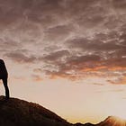 What I Wish I Knew About Mental Toughness Before I Was A SEAL