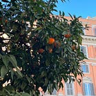 January Newsletter