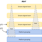 Interim Platform Team