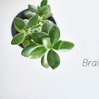 Phương pháp "Brain Dump": Giải phóng tâm trí, tìm lại bình yên