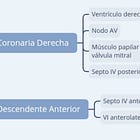 ¿Cómo hay que estudiar Cardiología?