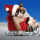 Unpopular opinion: I’m just not that into Christmas 