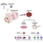 Placenta, Umbilical Cord, Foetus Damage and Abortion caused by Endotoxin via miR-155 disruption of CD34 cells