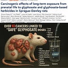 World’s Top Herbicide Linked to Over 10 Distinct Cancers at "Safe" Doses in Landmark Study