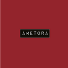 Ametora by W. David Marx 