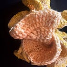 Essay Collection: Crochet/Craft As Therapy