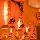 Chinese New Year Celebrations in Groningen & Leeuwarden