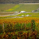 Bonjour Bourgogne! Understanding Burgundy's Terroir Influences